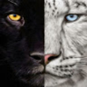 Meet your Posher, Lance